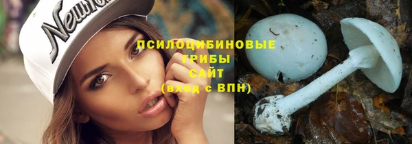 прущая мука Вязники